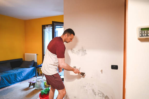 Mold Removal and Inspection in Palatka, FL